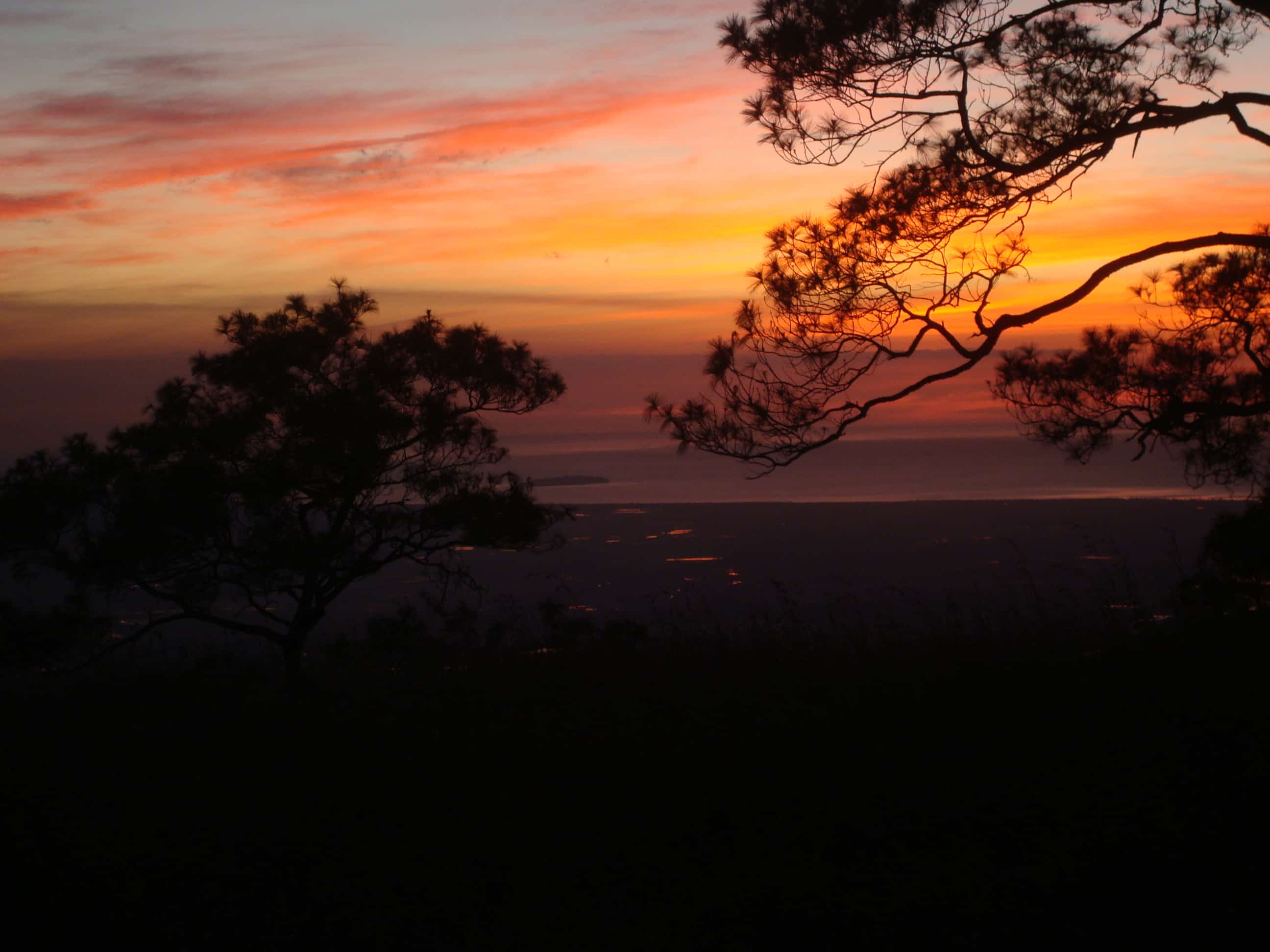 Sunset Mindoro Pines with view in direction Sablayan