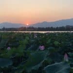 Sunset Mountain Lake Lotus Flowers